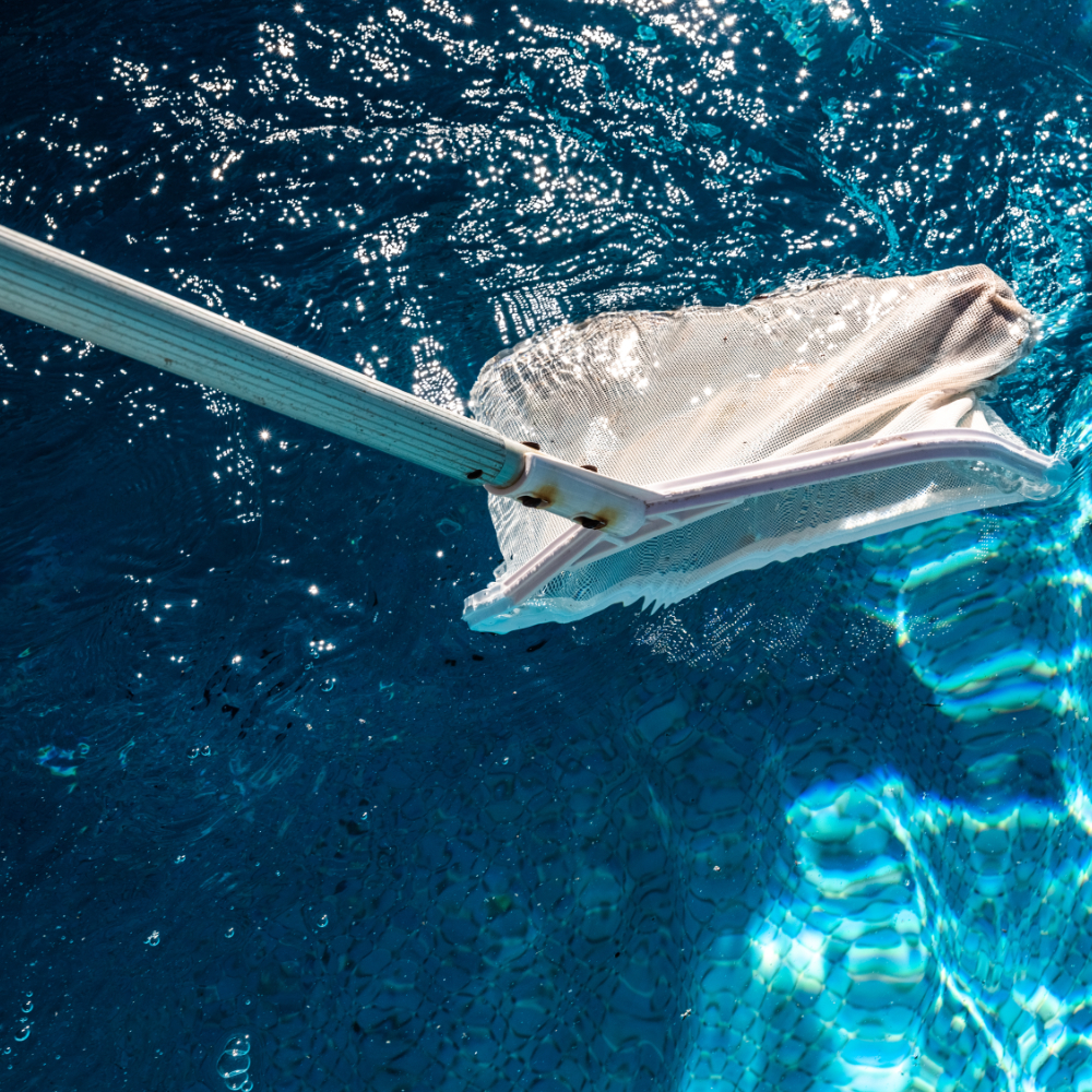 commercial pool cleaning services pasco